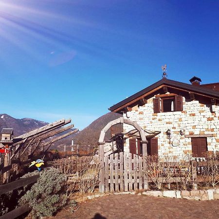 Hotel Baita Chalet Alabama à Arsie Extérieur photo
